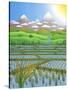 Japan Rice Paddy Field, 1997-Larry Smart-Stretched Canvas