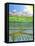 Japan Rice Paddy Field, 1997-Larry Smart-Framed Stretched Canvas