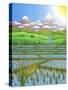 Japan Rice Paddy Field, 1997-Larry Smart-Stretched Canvas