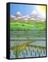 Japan Rice Paddy Field, 1997-Larry Smart-Framed Stretched Canvas