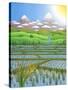 Japan Rice Paddy Field, 1997-Larry Smart-Stretched Canvas