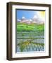 Japan Rice Paddy Field, 1997-Larry Smart-Framed Giclee Print