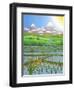 Japan Rice Paddy Field, 1997-Larry Smart-Framed Giclee Print