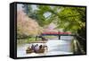 Japan's Heian Shrine Cherry-NicholasHan-Framed Stretched Canvas