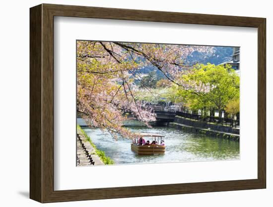 Japan's Heian Shrine Cherry-NicholasHan-Framed Photographic Print