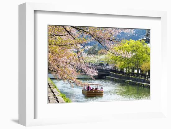 Japan's Heian Shrine Cherry-NicholasHan-Framed Photographic Print