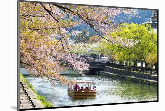 Japan's Heian Shrine Cherry-NicholasHan-Mounted Photographic Print