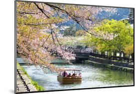 Japan's Heian Shrine Cherry-NicholasHan-Mounted Photographic Print