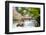 Japan's Heian Shrine Cherry-NicholasHan-Framed Photographic Print