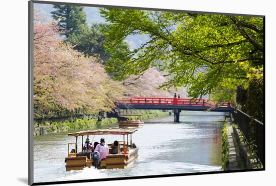 Japan's Heian Shrine Cherry-NicholasHan-Mounted Photographic Print