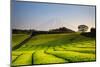 Japan, Shizuoka Prefecture, Mt Fuji and Green Tea Plantations-Michele Falzone-Mounted Photographic Print