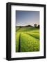 Japan, Shizuoka Prefecture, Mt Fuji and Green Tea Plantations-Michele Falzone-Framed Photographic Print