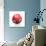 Japan Soccer Ball-pling-Art Print displayed on a wall