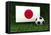 Japan Soccer-badboo-Framed Stretched Canvas