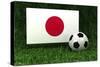 Japan Soccer-badboo-Stretched Canvas