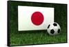 Japan Soccer-badboo-Framed Stretched Canvas