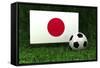 Japan Soccer-badboo-Framed Stretched Canvas