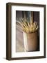 Japan Takayama Skewers for Japanese Dumplings (Dango) in Wooden Bucket-Nosnibor137-Framed Photographic Print