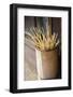 Japan Takayama Skewers for Japanese Dumplings (Dango) in Wooden Bucket-Nosnibor137-Framed Photographic Print