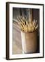 Japan Takayama Skewers for Japanese Dumplings (Dango) in Wooden Bucket-Nosnibor137-Framed Photographic Print