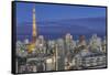 Japan, Tokyo, Roppongi, Skyline at Twilight-Rob Tilley-Framed Stretched Canvas