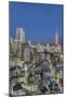 Japan, Tokyo, Roppongi, Skyline at Twilight-Rob Tilley-Mounted Photographic Print