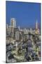 Japan, Tokyo, Roppongi, Skyline at Twilight-Rob Tilley-Mounted Photographic Print