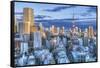 Japan, Tokyo, Roppongi, Sunset Skyline-Rob Tilley-Framed Stretched Canvas