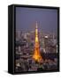 Japan, Tokyo, Roppongi, View of Tokyo Tower and City Skyline from Tokyo City View Tower-Steve Vidler-Framed Stretched Canvas