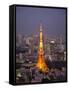 Japan, Tokyo, Roppongi, View of Tokyo Tower and City Skyline from Tokyo City View Tower-Steve Vidler-Framed Stretched Canvas