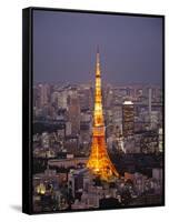 Japan, Tokyo, Roppongi, View of Tokyo Tower and City Skyline from Tokyo City View Tower-Steve Vidler-Framed Stretched Canvas