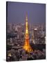 Japan, Tokyo, Roppongi, View of Tokyo Tower and City Skyline from Tokyo City View Tower-Steve Vidler-Stretched Canvas