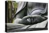 Japan Tokyo Senso-Ji Buddha Hands Close-Up-Nosnibor137-Stretched Canvas