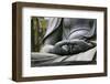 Japan Tokyo Senso-Ji Buddha Hands Close-Up-Nosnibor137-Framed Photographic Print