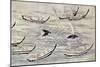 Japan: Whaling, C. 1800-null-Mounted Giclee Print