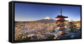 Japan, Yamanashi Prefecture, Fuji-Yoshida, Chureito Pagoda and Mt Fuji During Cherry Blossom Season-Michele Falzone-Framed Stretched Canvas