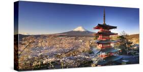 Japan, Yamanashi Prefecture, Fuji-Yoshida, Chureito Pagoda and Mt Fuji During Cherry Blossom Season-Michele Falzone-Stretched Canvas