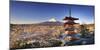 Japan, Yamanashi Prefecture, Fuji-Yoshida, Chureito Pagoda and Mt Fuji During Cherry Blossom Season-Michele Falzone-Mounted Premium Photographic Print