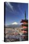 Japan, Yamanashi Prefecture, Fuji-Yoshida, Chureito Pagoda and Mt Fuji During Cherry Blossom Season-Michele Falzone-Stretched Canvas