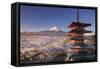 Japan, Yamanashi Prefecture, Fuji-Yoshida, Chureito Pagoda and Mt Fuji During Cherry Blossom Season-Michele Falzone-Framed Stretched Canvas