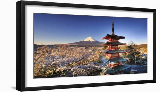 Japan, Yamanashi Prefecture, Fuji-Yoshida, Chureito Pagoda and Mt Fuji During Cherry Blossom Season-Michele Falzone-Framed Photographic Print