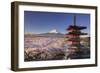 Japan, Yamanashi Prefecture, Fuji-Yoshida, Chureito Pagoda and Mt Fuji During Cherry Blossom Season-Michele Falzone-Framed Photographic Print