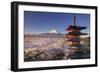 Japan, Yamanashi Prefecture, Fuji-Yoshida, Chureito Pagoda and Mt Fuji During Cherry Blossom Season-Michele Falzone-Framed Photographic Print