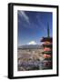 Japan, Yamanashi Prefecture, Fuji-Yoshida, Chureito Pagoda and Mt Fuji During Cherry Blossom Season-Michele Falzone-Framed Photographic Print