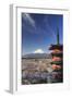 Japan, Yamanashi Prefecture, Fuji-Yoshida, Chureito Pagoda and Mt Fuji During Cherry Blossom Season-Michele Falzone-Framed Photographic Print