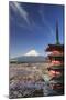 Japan, Yamanashi Prefecture, Fuji-Yoshida, Chureito Pagoda and Mt Fuji During Cherry Blossom Season-Michele Falzone-Mounted Photographic Print