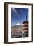 Japan, Yamanashi Prefecture, Fuji-Yoshida, Chureito Pagoda and Mt Fuji During Cherry Blossom Season-Michele Falzone-Framed Photographic Print