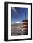 Japan, Yamanashi Prefecture, Fuji-Yoshida, Chureito Pagoda and Mt Fuji During Cherry Blossom Season-Michele Falzone-Framed Photographic Print