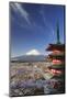Japan, Yamanashi Prefecture, Fuji-Yoshida, Chureito Pagoda and Mt Fuji During Cherry Blossom Season-Michele Falzone-Mounted Photographic Print
