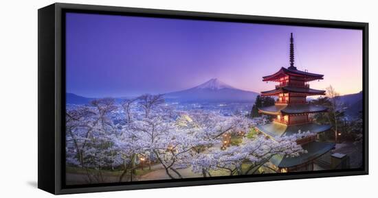 Japan, Yamanashi Prefecture, Fuji-Yoshida, Chureito Pagoda, Mt Fuji and Cherry Blossoms-Michele Falzone-Framed Stretched Canvas